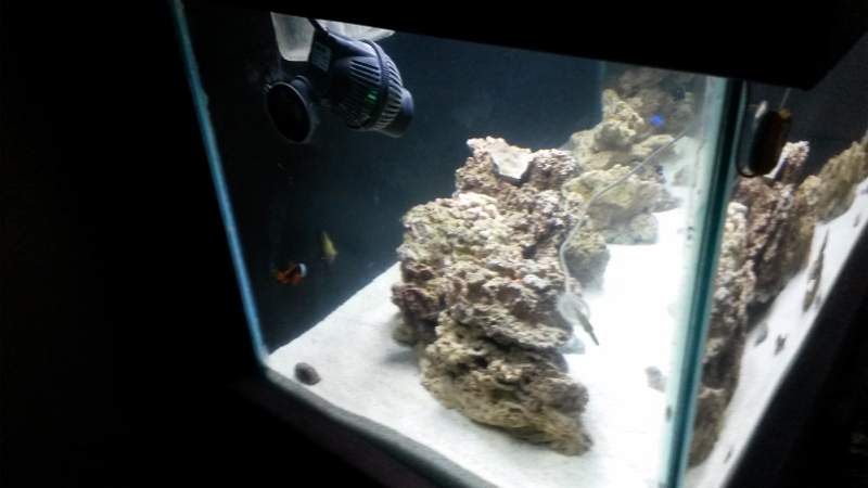 new tank progression