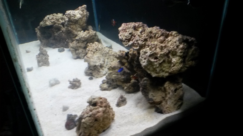 new tank progression