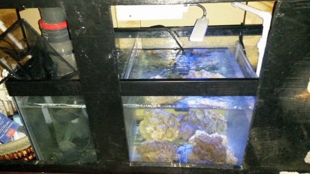 new tank progression