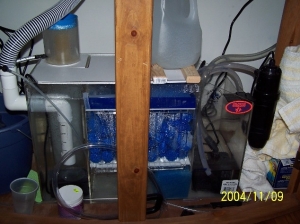 pic_3
