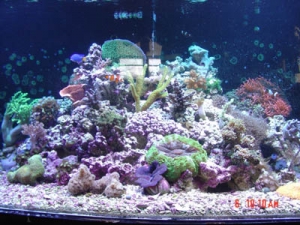 72 gal