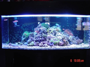 72 gal