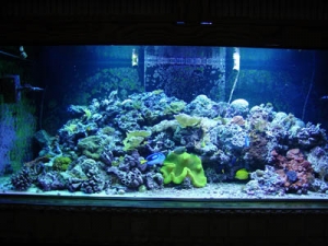 720 gal