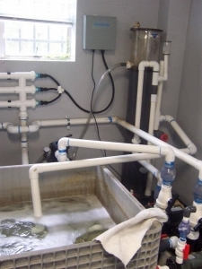 900 gal Filter Area :)