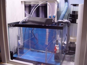 Sump2_1_
