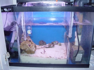 done_sump_1_