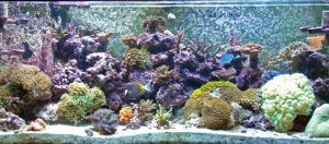 75G before the Move and Crash