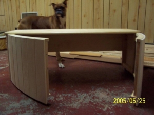 DIY Canopy