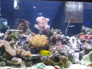 leftside2142005jpg