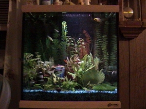 freshwater tank