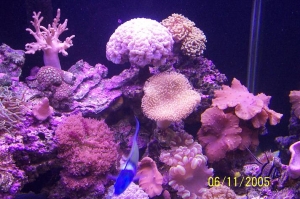 right_side_of_tank