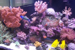 left_side_of_tank