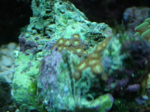 DSCF0258200