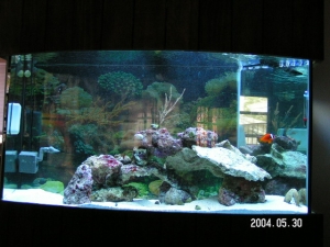 PICT2105