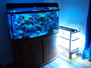 Refugium , 15 gal. tank