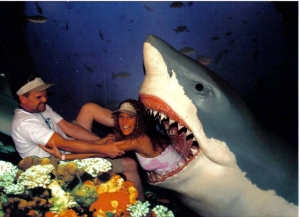 just sharking around...