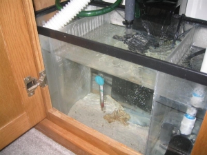 10 gallon sump