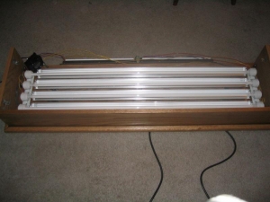 T-5 Lighting