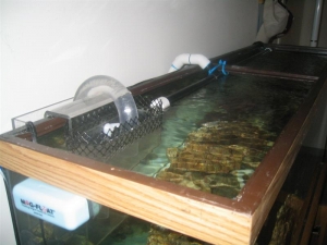 Top of Tank (Overflow & Spray Bar)