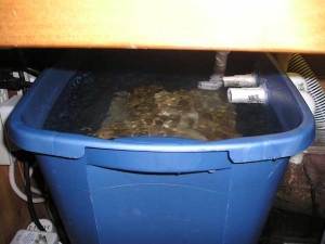 10 DIY refugium