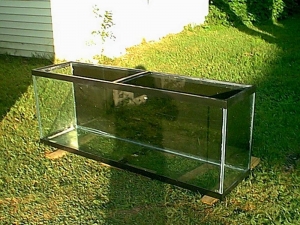150_gallon_tank