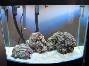 26 gal