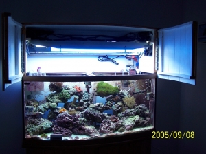 New Canopy