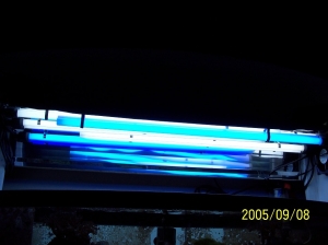 New Canopy