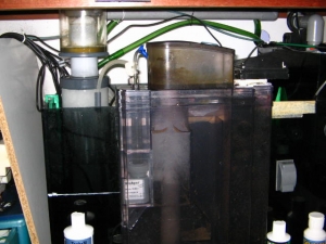 2 skimmers