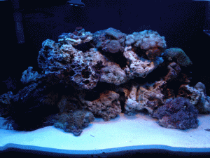 mytank