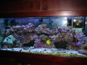 full shot of my 75