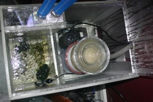 Korrall sump 38  gal