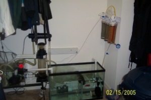 Sump and Refugium
