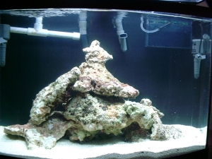 36bowtank021