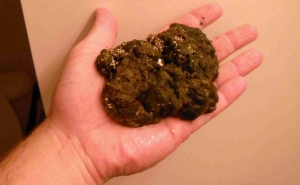 Hand_poop