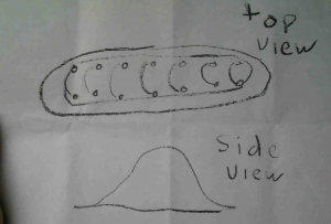 Slug_Drawing