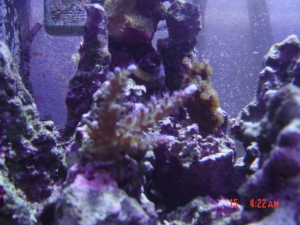 DSC00464