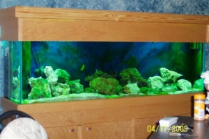 Nov 2004 image