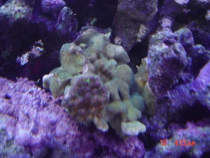 DSC00470