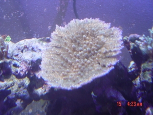 DSC00472