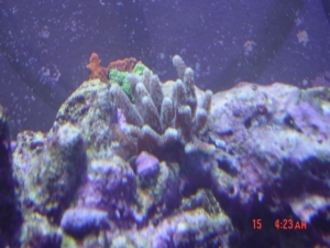 DSC00473