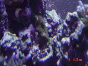 DSC00476