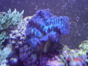 DSC00482