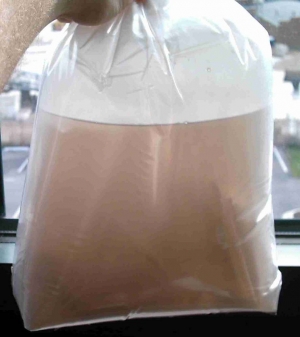 brownbag