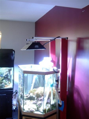 Hex lighting