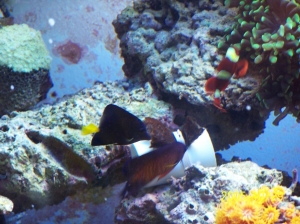 Feeding time