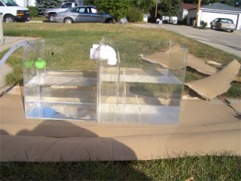 new sump