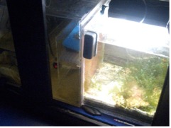new sump