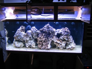 My 150 gal