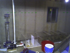 Power-Pro/ss and sump